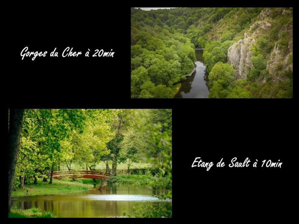 Centre-Ville - Gare - Jardin Wilson - Chateau Bourbon 蒙吕松 外观 照片